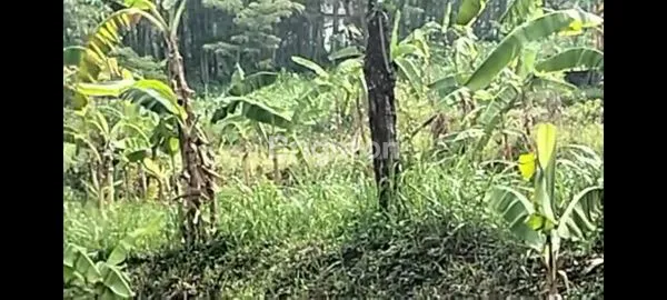 image TANAH LUAS, ZONA PEMUKIMAN, TAMAN DAYU (2)