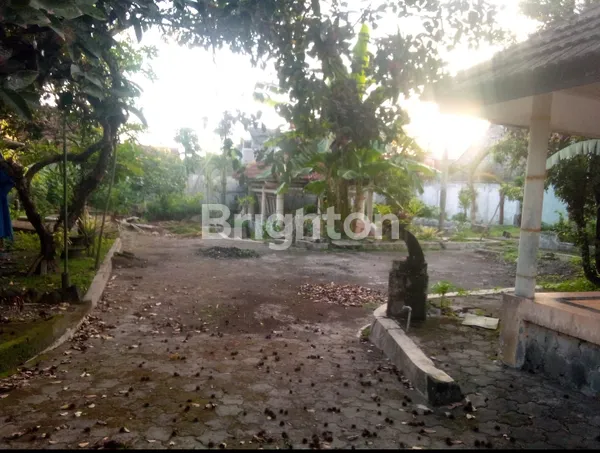 image TANAH KRAJAN DEKAT JOGJA BAY (4)