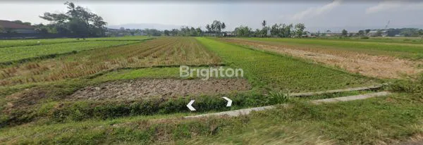 image TANAH SAWAH, DEKAT PEREMPATAN PASAR GENDENG, PRAMBANAN - PIYUNGAN (3)