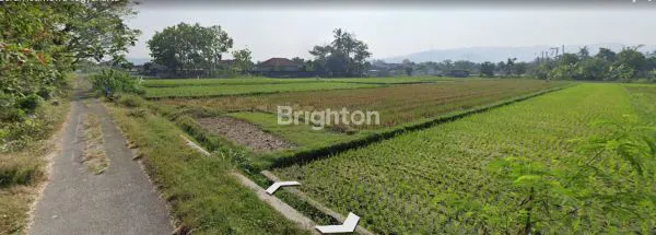 image TANAH SAWAH, DEKAT PEREMPATAN PASAR GENDENG, PRAMBANAN - PIYUNGAN (4)