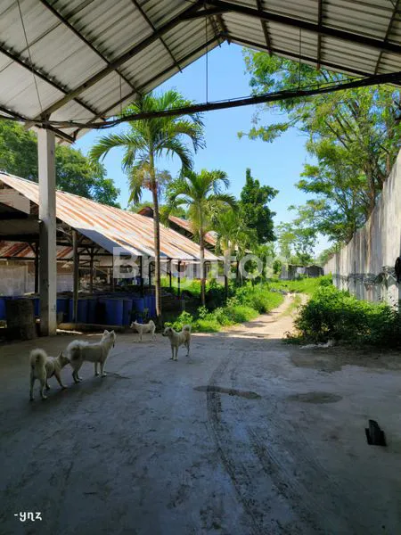 image TANAH BESERTA BANGUNAN, EX KADANG AYAM DI KEC. PUNCU-KEDIRI (6)