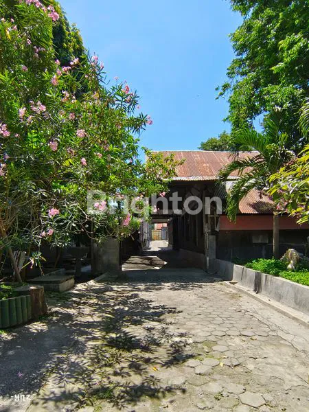 image TANAH BESERTA BANGUNAN, EX KADANG AYAM DI KEC. PUNCU-KEDIRI (8)