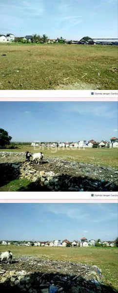 image TANAH SANGAT STRATEGIS AREA KOMERSIAL SELANGKAH KE PASAR BLIMBING LAMONGAN  (2)