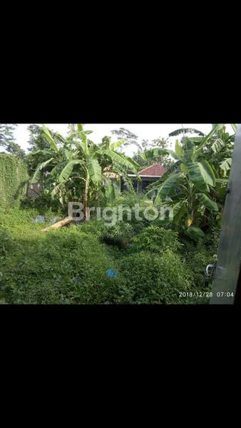 image RUMAH LAMA HALAMAN LUAS STRATEGIS NOL JALAN NASIONAL (8)