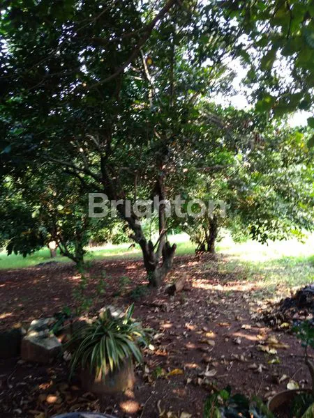 image TANAH DIJUAL COCOK UNTUK CLUSTER DI PONDOK AREN  (4)