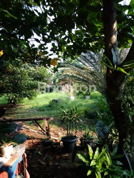 image TANAH DIJUAL COCOK UNTUK CLUSTER DI PONDOK AREN  (3)