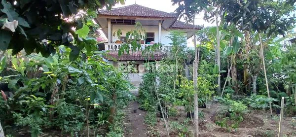 image RUMAH DI DEPAN JALAN UTAMA GOA GONG, UNGASAN (5)