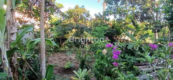 image RUMAH DI DEPAN JALAN UTAMA GOA GONG, UNGASAN (4)