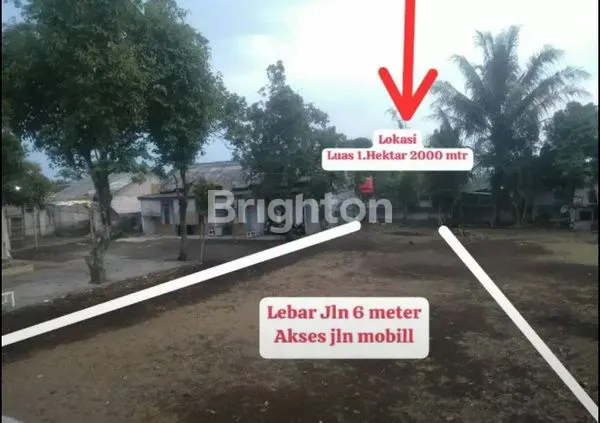 image TANAH DI CISEENG PARUNG BOGOR (7)