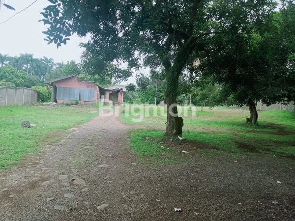 image TANAH DI CISEENG PARUNG BOGOR (8)