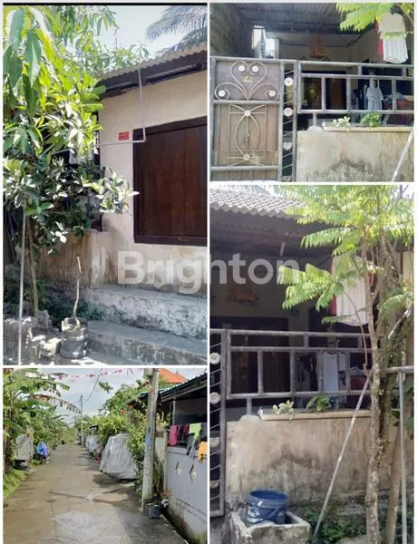 image RUMAH MINIMALIS DI TABANAN (1)