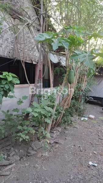 image DIJUAL RUMAH HITUNG TANAH DITULUNGAAGUNG (3)