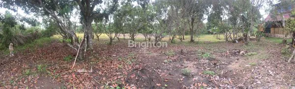 TANAH LUAS JALAN POROS GROGOT