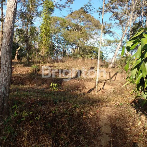 Gambar Property TANAH DIJUAL AREA TRAWAS