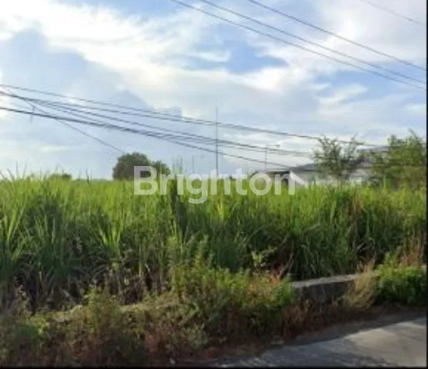 Gambar Property TANAH COCOK PABRIK DAN GUDANG LOKASI STRATEGIS NOL JALAN RAYA