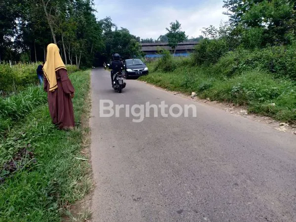 image TANAH MURAH DI PINGGIR JALAN DERAH WAJAK KABUPATEN MALANG (2)