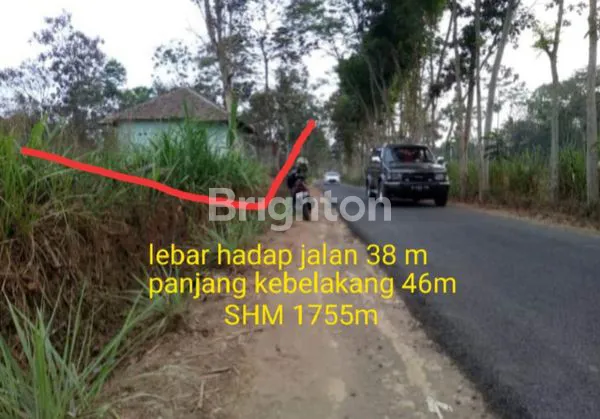 image TANAH MURAH DI PINGGIR JALAN DERAH WAJAK KABUPATEN MALANG (5)
