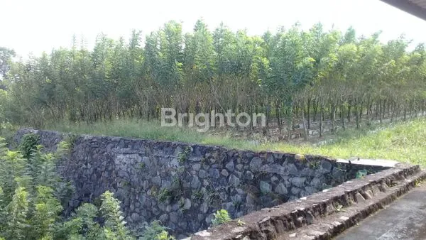 *DIJUAL MURAH TANAH PABRIK EX KAYU PLUS MESIN2 DIDALAMNYA DI  SSKITAR KABUPATEN SUKABUMI, PROPINSI JAWA BARAT..*(KODE RMRF2046)