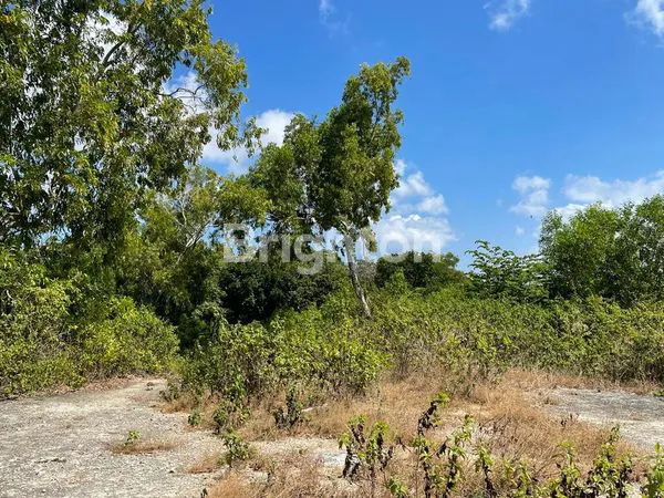 MURAH TANAH DI PECATU ULUWATU LOKASI BANYAK HOTEL RESORT-RESORT DEKAT DENGAN GERBANG NEW KUTA GOLF BALI