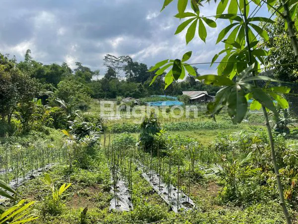 image TANAH KOSONG SANGAT BAGUS LETAKNYA DAERAH SIBOLANGIT (4)