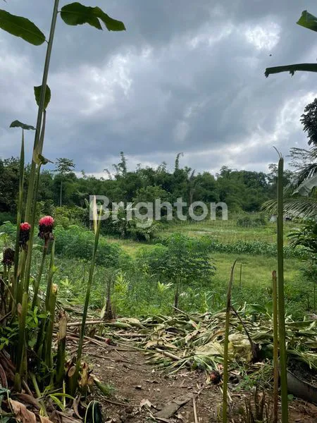 image TANAH KOSONG SANGAT BAGUS LETAKNYA DAERAH SIBOLANGIT (5)