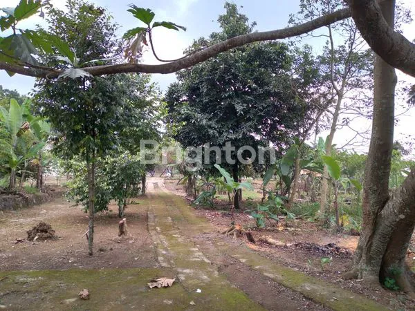 image TANAH DEKAT HIGHLAND RESORT CIAPUS BOGOR (1)