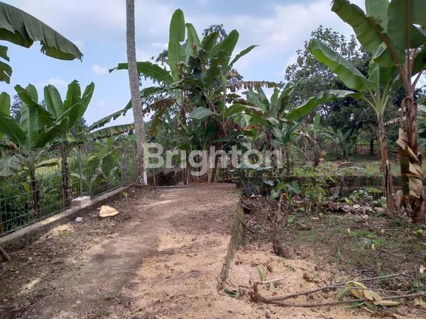 image TANAH DEKAT HIGHLAND RESORT CIAPUS BOGOR (3)