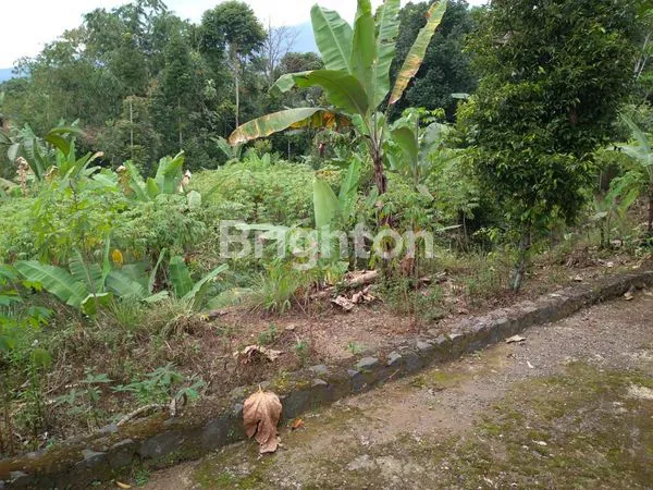 image TANAH DEKAT HIGHLAND RESORT CIAPUS BOGOR (2)