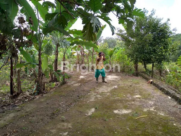 image TANAH DEKAT HIGHLAND RESORT CIAPUS BOGOR (8)