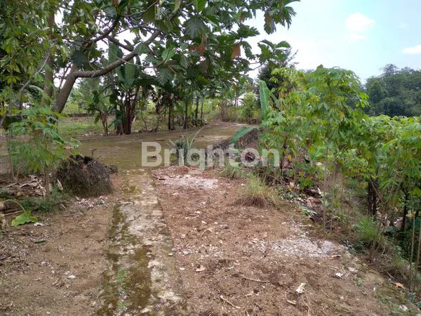 image TANAH DEKAT HIGHLAND RESORT CIAPUS BOGOR (6)