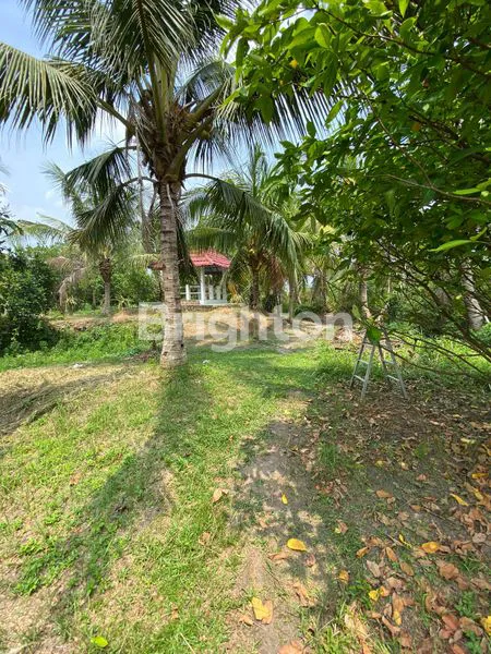 image TANAH LOKASI BAGUS, PALEMBANG SUMATERA SELATAN (4)