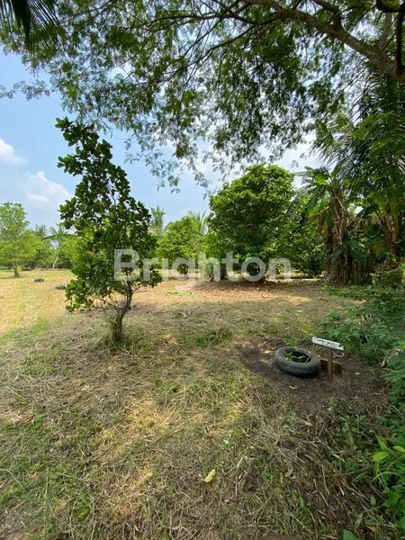 image TANAH LOKASI BAGUS, PALEMBANG SUMATERA SELATAN (5)