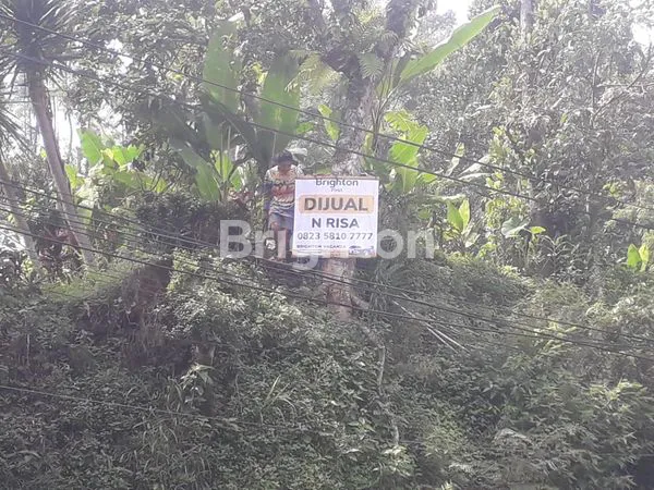 image TANAH STRATEGIS SANGAT COCOK UNTUK SEGALA USAHA (1)