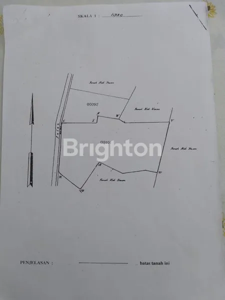 image PERKEBUNAN TEBU AKTIF DI TUTUR NONGKOJAJAR PASURUAN  (3)