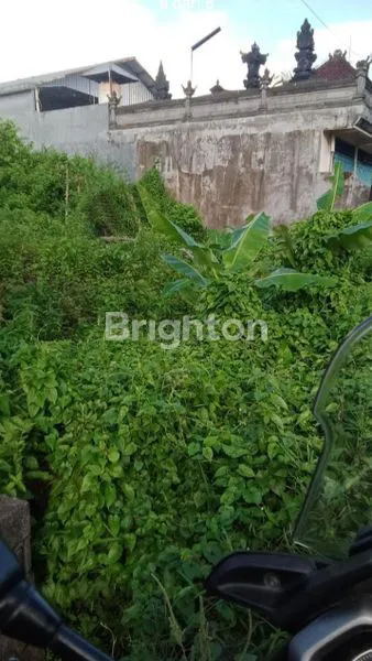 image TANAH STRATEGIS PINGGIR JALAN UTAMA, LUAS TANAH 16.9 ARE, DI JALAN RAYA ANGANTAKA GIANYAR SINGAPADU (2)