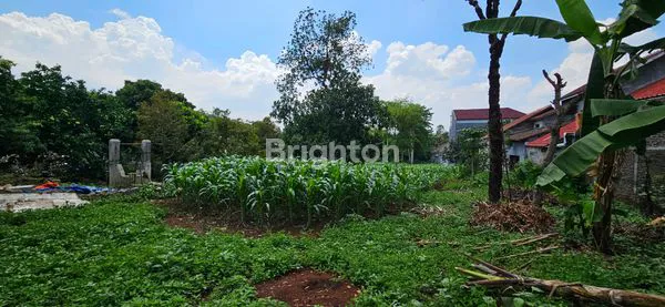 image TANAH SIAP BANGUN JALAN RAYA MIJEN - BOJA MIJEN SEMARANG (6)