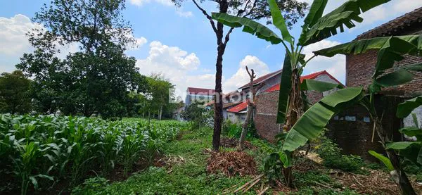 image TANAH SIAP BANGUN JALAN RAYA MIJEN - BOJA MIJEN SEMARANG (7)