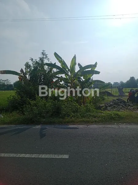 image TANAH PINGGIR JALAN RAYA  (4)