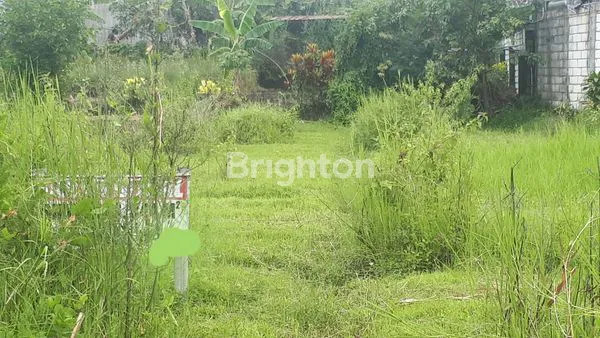 image TANAH IDEAL DAN STRATEGIS UNTUK VILLA/BUNGALOW (1)