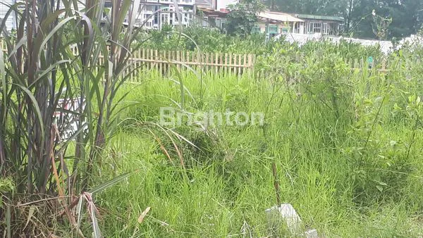 image TANAH IDEAL DAN STRATEGIS UNTUK VILLA/BUNGALOW (2)