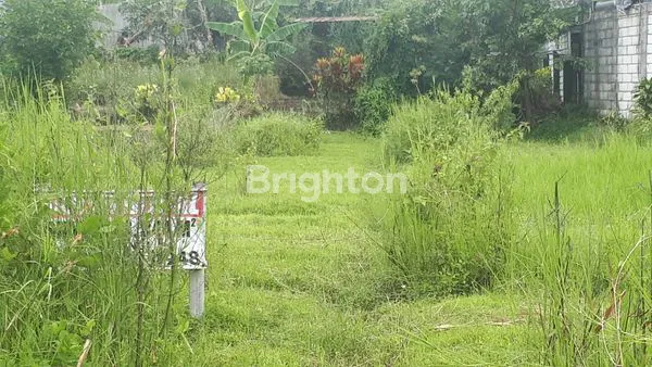 image TANAH IDEAL DAN STRATEGIS UNTUK VILLA/BUNGALOW (6)