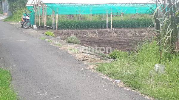 image TANAH IDEAL DAN STRATEGIS UNTUK VILLA/BUNGALOW (7)