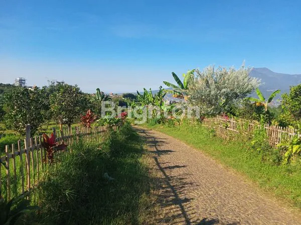 image KEBUN JERUK 5.600 M2 BISA DISULAP JADI  VILLA / WISATA PETIK JERUK _ DI WISATA BUKIT JENGKOANG (2)