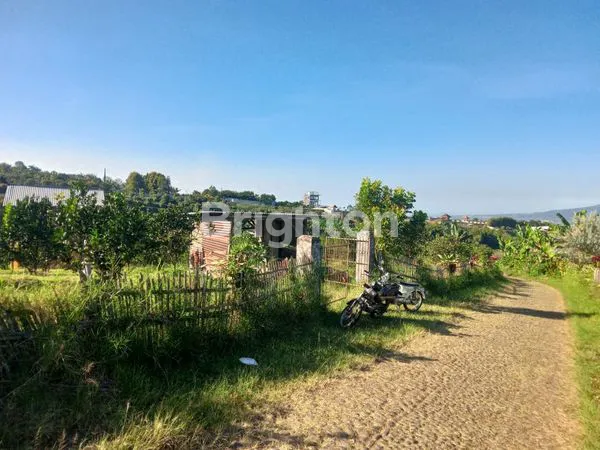 image KEBUN JERUK 5.600 M2 BISA DISULAP JADI  VILLA / WISATA PETIK JERUK _ DI WISATA BUKIT JENGKOANG (5)