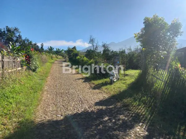 image KEBUN JERUK 5.600 M2 BISA DISULAP JADI  VILLA / WISATA PETIK JERUK _ DI WISATA BUKIT JENGKOANG (4)
