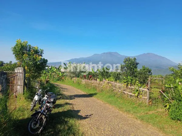 image KEBUN JERUK 5.600 M2 BISA DISULAP JADI  VILLA / WISATA PETIK JERUK _ DI WISATA BUKIT JENGKOANG (3)