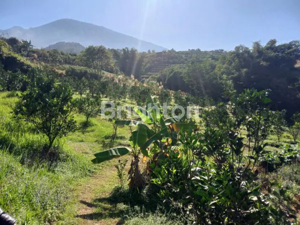 image KEBUN JERUK 5.600 M2 BISA DISULAP JADI  VILLA / WISATA PETIK JERUK _ DI WISATA BUKIT JENGKOANG (1)