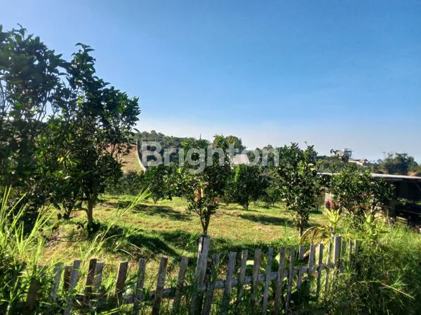 image KEBUN JERUK 5.600 M2 BISA DISULAP JADI  VILLA / WISATA PETIK JERUK _ DI WISATA BUKIT JENGKOANG (7)