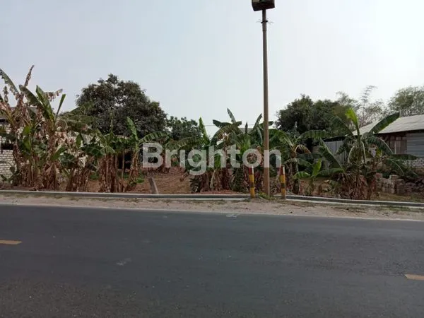 TANAH KERING AREA INDUSTRI GRESIK