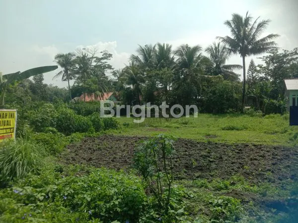 Gambar Property TANAH DI SERANG